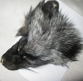 ����� ���������� ���� / silver fox mask